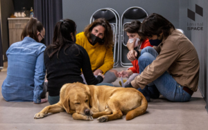 Σε μία αίθουσα με γκρι τοίχους και ανοιχτό γκρι δάπεδο, μία ομάδα πέντε ατόμων και ένας σκύλος οδηγός είναι καθισμένοι σε κύκλο και συζητούν.
