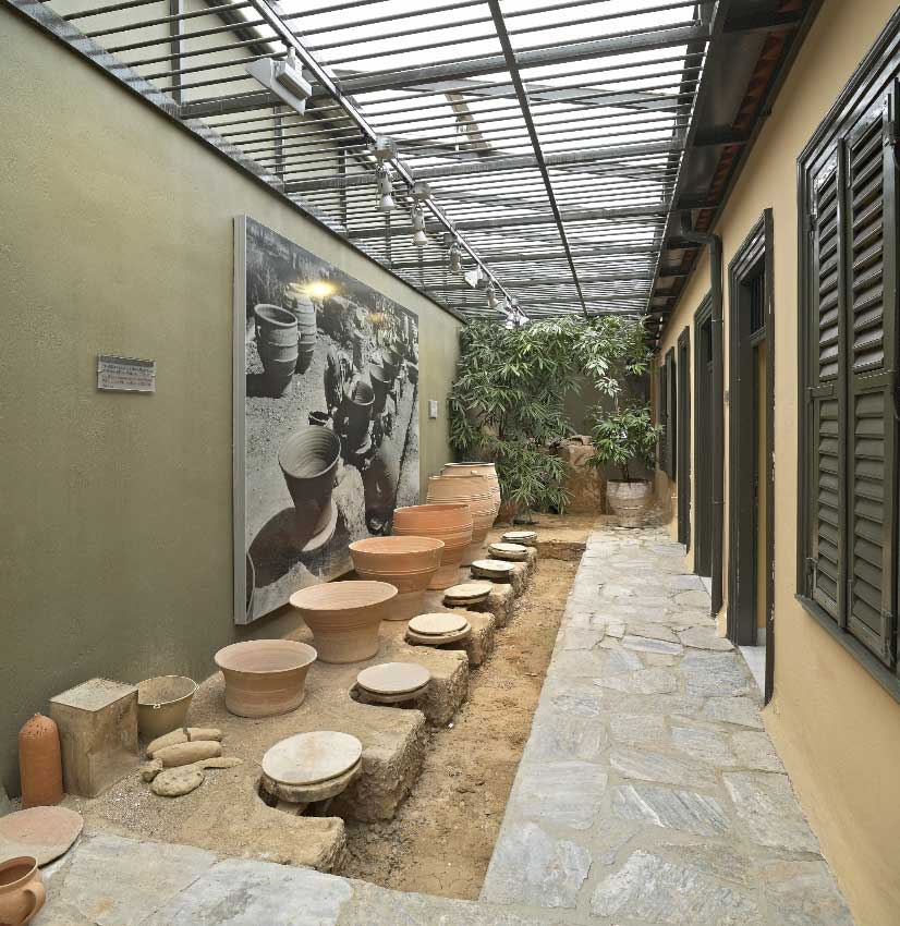 The bright, airy space of the Center for the Study of Modern Ceramics features ceramic vessels, such as planters, arranged in a size-ordered sequence in front of the building's windows. In the background, green plants stretch upward, reaching toward the high, translucent roof of the elongated semi-outdoor area.