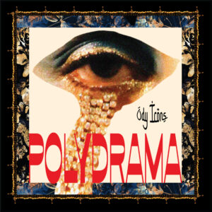 Κάτω από δύο χρυσές φτερούγες, η κοντινή φωτογραφία ενός μακιγιαρισμένου ματιού. Στο κάτω βλέφαρο κολλημένες σειρές από στρας δημιουργούν την αίσθηση δακρύων που γυαλίζουν. Δίπλα και κάτω αναγράφεται με μαύρους λεπτούς χαρακτήρες Ody Icons. Με μεγάλους κόκκινους χαρακτήρες από κάτω αναγράφεται Polydrama.