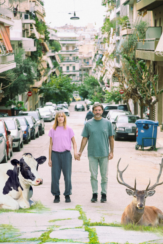 Μία αγελάδα και ένα ελάφι πλαισιώνουν μια γυναίκα κι ένα άνδρα με καθημερινά ρούχα που ποζάρουν χέρι χέρι σε κεντρικό σημείο της πόλης ανάμεσα από πολυκατοικίες. Η παρουσία των ζώων εκεί μες στην απόλυτη ηρεμία τους έχει κάτι το αλλόκοτο και σουρεαλιστικό.